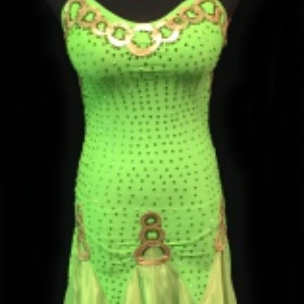 Praying Mantis - Beginner Smooth Standard Competition Ballroom Gown Lime & Gold